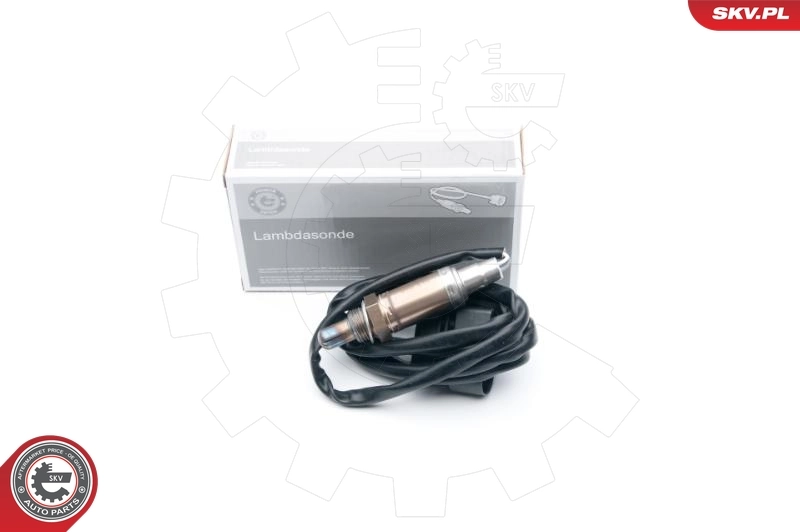 Oxygen Sensor